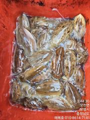 25일조항입니다 사진