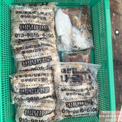 2025-10월 15일 목요일 사진