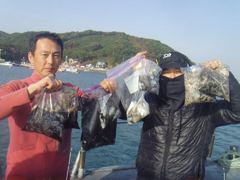11월9일쭈갑조황 사진