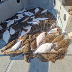 11월 16일 다운샷 어쩔수 없는 조기 퇴근 사진