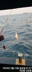 21일 토요일 5자리여유 사진