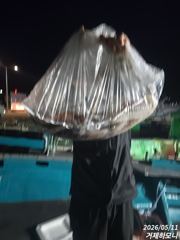 (거제하모니호)대포한치 퍽퍽합니다 사진