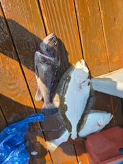 6월13일 (며짱 올렸어요) 사진