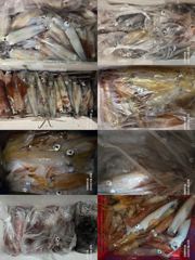 [진해한치낚시] 활성도 좋게 올라오는 왕한치 찐한 손맛 보러 내일도 달립니다^0^ 사진