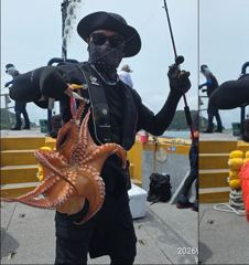 [뉴~한사리2호]9일철수 문어 대박입니다 사진