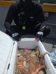 [뉴~한사리2호]10일철수 문어조황입니다 사진