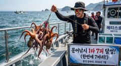통영] 문어 사량도 굴어장 간단 조황 29일(수) 통영 메티스호 사진