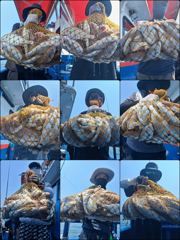 [백조기] ♡백조기♡ 8월 1일 굿~! 굿~! 조황~!^^ 사진