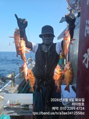 8/4일, 먼침선, 개우럭,열기~쌍걸이등~싸이즈 굿~쿨러조황~오늘도 고등어,삼치,갈치 갑니다~강추~군산 하이원호 사진