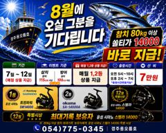 [경주] 8/8 대삼치 실시간 조황입니다. 사진