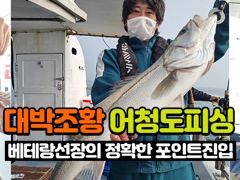 오늘의조황 - 8월 1일 토요일 / 생미끼 조황 - 군산 어청도낚시,배낚시,바다낚시 사진