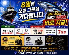 8월14일,15일,16일 오전5시 대삼치출조모집중... 사진