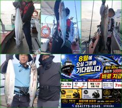 8월14일,15일,16일 오전5시 대삼치출조모집중... 사진