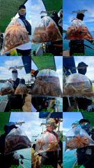 13일 원도권 돌문어 전원 손맛보고 왔습니다 (낼 출항확정.자리여유) 사진