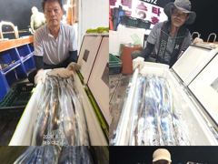 여수갈치[대교낚시] 폭탄갈치 갈치조황,,,오늘 빈자리 여유 사진