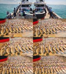 ♥ 붉바리들..이정도는 잡아봐야지요 역대급 초대박 붉바리조황입니다[2026년08월14일] ◎ 해마루호가 뜨는이유? 조황때문이죠 ◎ 핵심포인트: 바로진입.. 바로히트.. ▣ 차원이... 사진