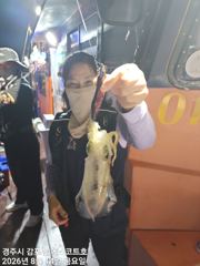 연휴 주간 대삼치및방어/야간 무늬오징어 팁런 예약중입니다 사진