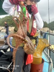 내일 수중전갑니다 자리여유 많습니다 사진