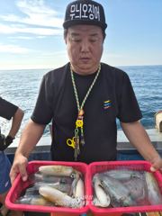 강구 인스타피싱 ~ 무늬팁런.. 기상만 좋으면 매일 출항합니다.. 예약가능합니다 사진