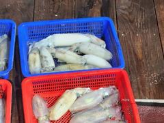 무늬팁런 우천속 초보 조사님들의 굿 조항 사진