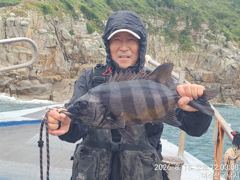 56cm돌돔 마릿수 조화밉니다 사진