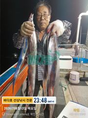 13일출조 왕갈치조황 사진