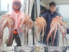 문어,1500,1300,1200,1100외,충치,와르르,,(예약가능) 사진