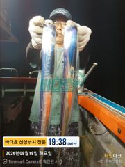 [거제] 8월 18일 출항 왕갈치 조황 굿굿굿!!! 오늘 출항 해… 사진