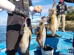[통영] [무늬팁런] 18일..비온 뒤... 괜찮은 조황을 보입니다. 사진