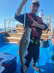 대구지깅 사진