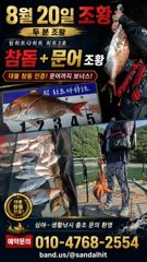 [거제] 심야선상/시원한 야밤에 오짜부터 사짜들 마릿수로 사진