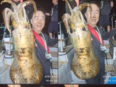 [마산] 무늬오징어 출발! 사진