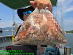 [사천] 23일)문어/종일 잔여자리 예약받습니다. 사진