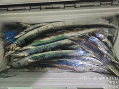 내일 텐빈텐야 달립니다 6분예약중 무조건 달립니다 10자리여유 있습니다 사진