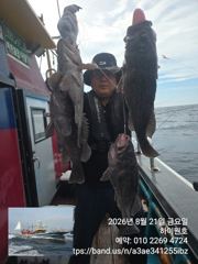 군산하이원호 6짜5짜등 포걸이 쓰리걸이 굿조황입니다~ 사진