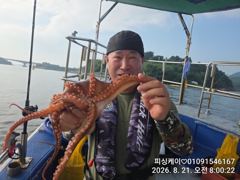 토!일! 돌문어 자리 있습니다! 사진