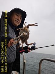 꽃게 낚시  조황 입니다 사진