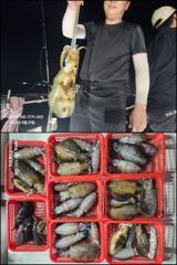 [마산] "해적" 야간 무늬 팁런 조황 (8/20) 사진