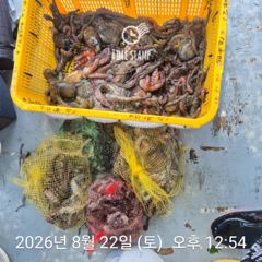 암초 포인트 문어 낚시 사진