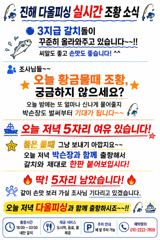 [진해] 진해♡다올피싱)22일 실시간 조항 ~~ 사진