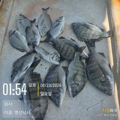 [고성] 병산  감성돔 농어 숭어 마리수 선외기&선상조황~~ 사진