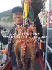 8월23일 군산 홈런호 야간 문어 출조 하였습니다.첫포인트 부터 준수한 사이즈 문어가 올라와  줍니다.실시간 구경들 하세요. 사진