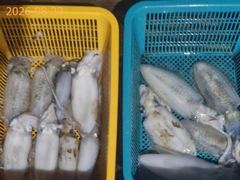 [부산] 고구마 무늬오징어!! 문어도 마릿수 굿~ 사진