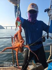 [진해] [진해문어낚시] 오늘도 묵직하게 올라오는 돌문어 찐한 손맛 보시…