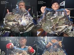 &lt;발키리호&gt; 야간 꽃게 마무리 굿 조황(25~26일)-금일 야간 꽃게 자리있습니다. 사진