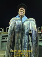 여수 용주피싱 9월 주꾸미 출조모집 합니다 사진
