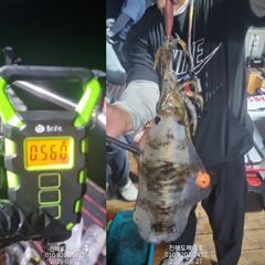 [진해] 팁런무늬오징어 26일 조황 오늘예약가능 사진
