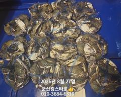 8/28~야간꽃게출조합니다((군산킹스타호에서~~) 사진
