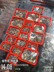 오늘 팁런 모집중입니다 사진