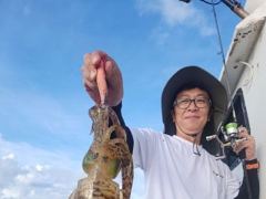 [통영] [무늬] 30일.. 좋은 조황을 보입니다. 월. 화 예약중 사진